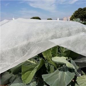 Tessili mhux minsuġ Kontra t-Tixjiħ / UV 100% PP