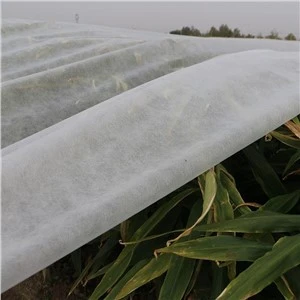 Anti UV Spun Bond Drapp mhux Minsuġ Għall-Użu serra